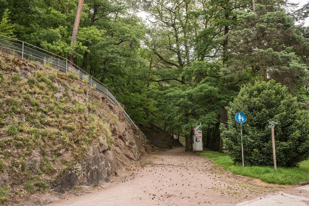 Loftwohnung Mit Sauna - Natur Und Kultur In Eisenach Erleben Und Geniessen Eksteriør bilde